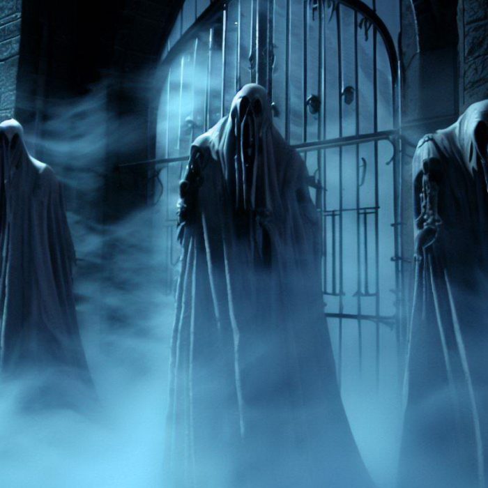 Home - Harry Potter Insights